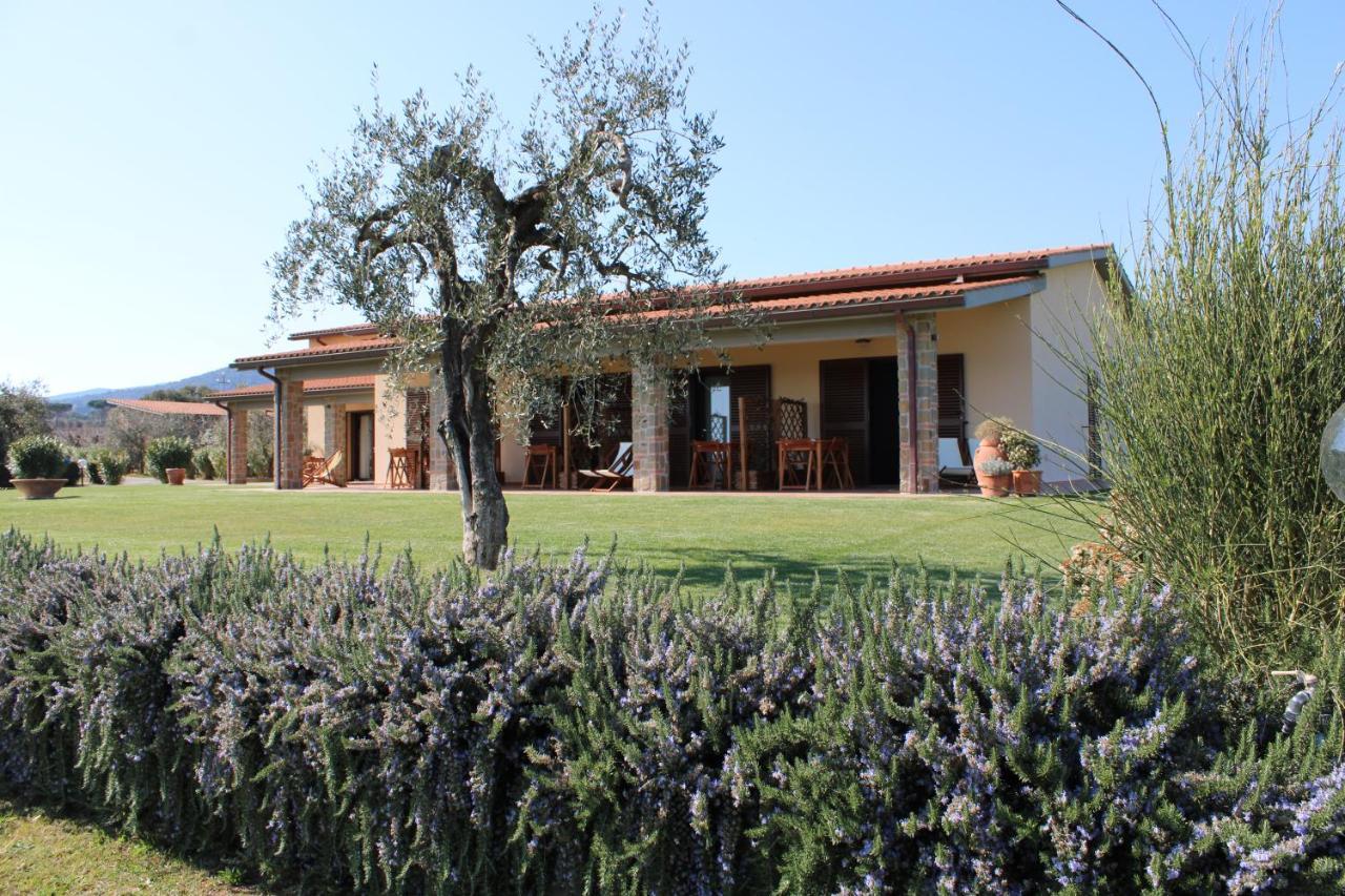 Agriturismo Il Vecchio Mandorlo Castiglione della Pescaia Ngoại thất bức ảnh