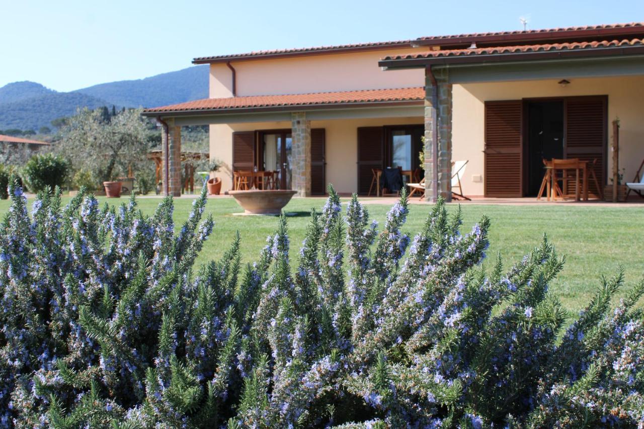 Agriturismo Il Vecchio Mandorlo Castiglione della Pescaia Ngoại thất bức ảnh